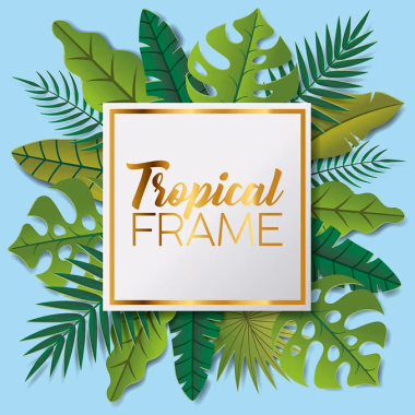 Tropical frame custom illustration